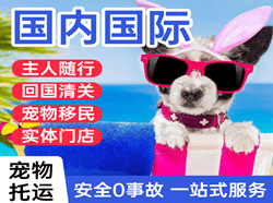 拉萨机场货运国际宠物托运 【国